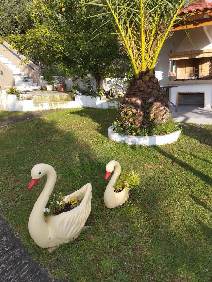 Mιχαλης Apartments باراميثيا المظهر الخارجي الصورة